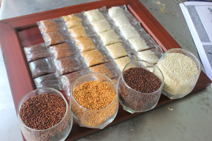 các màu gạo rang